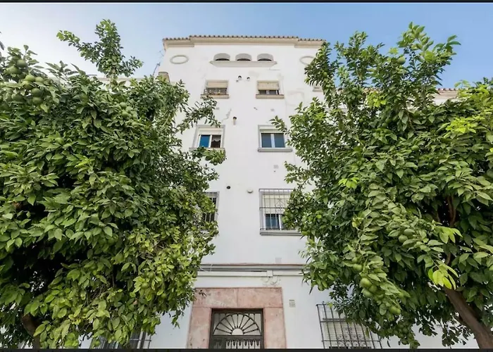 Milagros 110 M2 Málaga